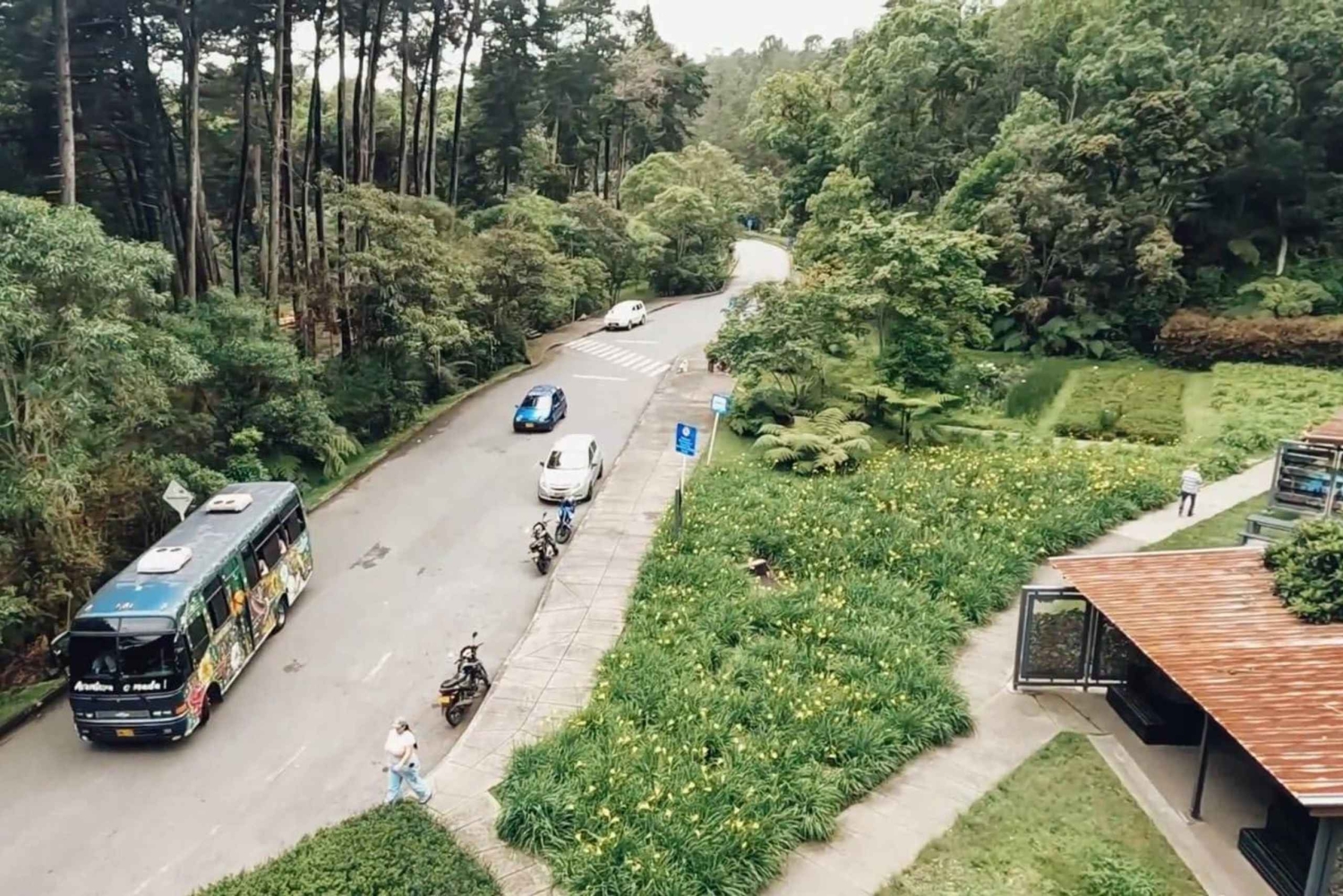 Medellín: Retki Arvíin ja Finca de Floresiin – kävely, välipala ja lounas