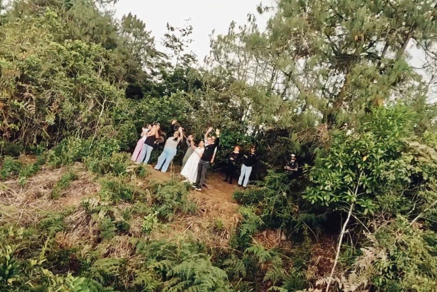 Medellín: Retki Arvíin ja Finca de Floresiin – kävely, välipala ja lounas