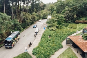 Medellín: Retki Arvíin ja Finca de Floresiin – kävely, välipala ja lounas