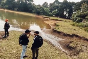 Medellín: Retki Arvíin ja Finca de Floresiin – kävely, välipala ja lounas