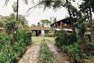 Medellín: Retki Arvíin ja Finca de Floresiin – kävely, välipala ja lounas