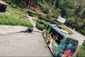 Medellín: Retki Arvíin ja Finca de Floresiin – kävely, välipala ja lounas