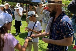 Medellin: Fruit Tour with tastings, nature and animals.