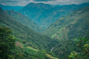 MEDELLÍN: EXPERIMENTE A TIROLESA MAIS ALTA DE TODA A COLÔMBIA!