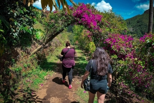MEDELLÍN: EXPERIMENTE A TIROLESA MAIS ALTA DE TODA A COLÔMBIA!