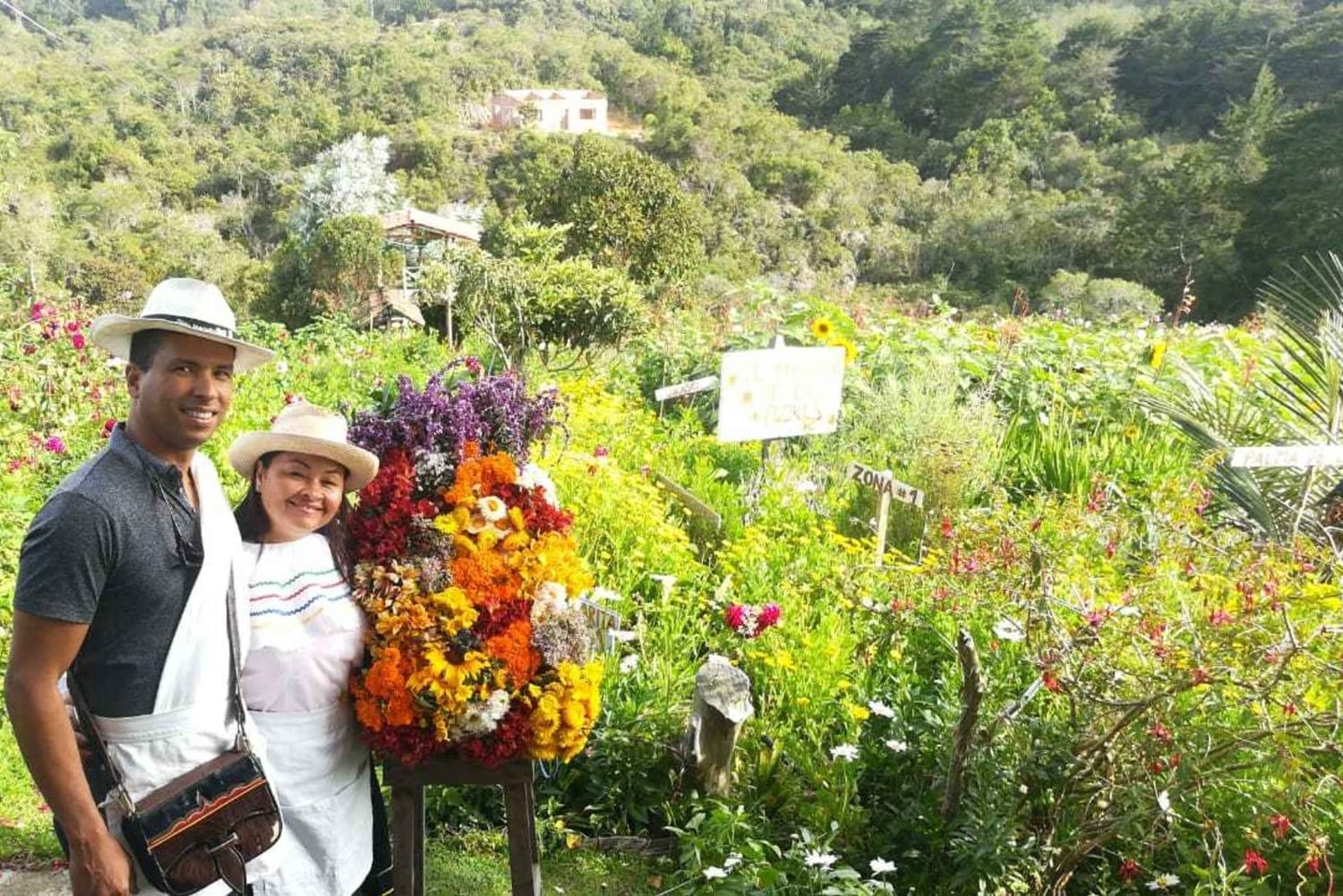 Medellín: tour della fattoria dei fiori e della storia di Silletero