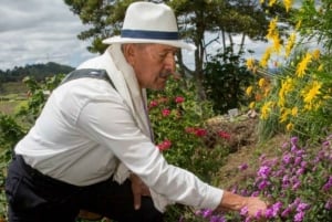 Medellín: Flower Farm & Silletero History Tour
