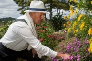 Medellín: tour della fattoria dei fiori e della storia di Silletero
