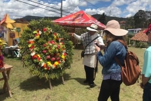 Medellín: tour della fattoria dei fiori e della storia di Silletero