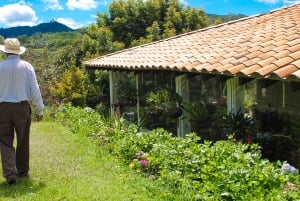 Medellín: tour della fattoria dei fiori e della storia di Silletero