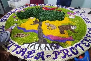 Medellín: tour della fattoria dei fiori e della storia di Silletero