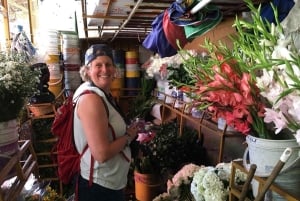 Medellín: tour della fattoria dei fiori e della storia di Silletero