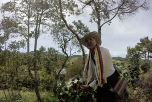 Medellín: tour della fattoria dei fiori e della storia di Silletero