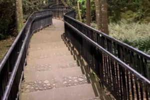 メデジンの高台から：セミプライベートの夜景ツアー