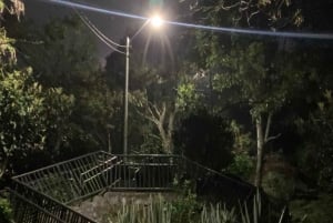 メデジンの高台から：セミプライベートの夜景ツアー