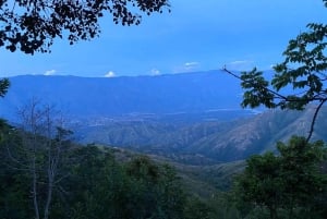 Medellin: Full-Day Colonial Tour with Guide