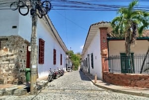 Medellin: Full-Day Colonial Tour with Guide
