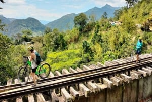 Medellín: Excursión de un día en bicicleta de montaña con almuerzo
