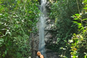 Medellín: Heldags terrengsykkeltur med lunsj