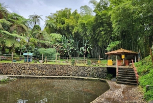 MEDELLIN: WYCIECZKA DO JARDIN + ANDES (PANORAMICZNA) + HODOWLA PSTRĄGÓW