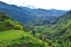 MEDELLIN: WYCIECZKA DO JARDIN + ANDES (PANORAMICZNA) + HODOWLA PSTRĄGÓW