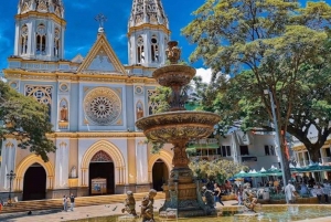 MEDELLIN: WYCIECZKA DO JARDIN + ANDES (PANORAMICZNA) + HODOWLA PSTRĄGÓW