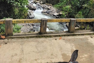 MEDELLIN: WYCIECZKA DO JARDIN + ANDES (PANORAMICZNA) + HODOWLA PSTRĄGÓW