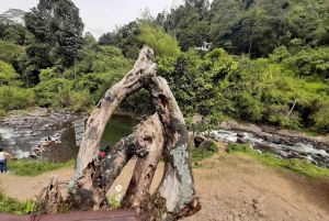 MEDELLIN: WYCIECZKA DO JARDIN + ANDES (PANORAMICZNA) + HODOWLA PSTRĄGÓW