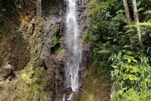 MEDELLIN: WYCIECZKA DO JARDIN + ANDES (PANORAMICZNA) + HODOWLA PSTRĄGÓW
