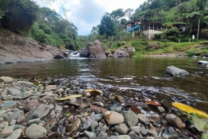 MEDELLIN: WYCIECZKA DO JARDIN + ANDES (PANORAMICZNA) + HODOWLA PSTRĄGÓW