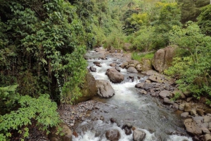 MEDELLIN: WYCIECZKA DO JARDIN + ANDES (PANORAMICZNA) + HODOWLA PSTRĄGÓW