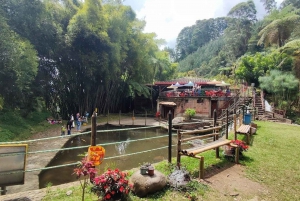 MEDELLIN: WYCIECZKA DO JARDIN + ANDES (PANORAMICZNA) + HODOWLA PSTRĄGÓW