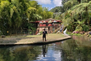 MEDELLIN: WYCIECZKA DO JARDIN + ANDES (PANORAMICZNA) + HODOWLA PSTRĄGÓW