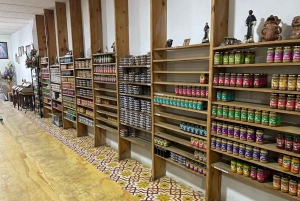 MEDELLIN: WYCIECZKA DO JARDIN + ANDES (PANORAMICZNA) + HODOWLA PSTRĄGÓW