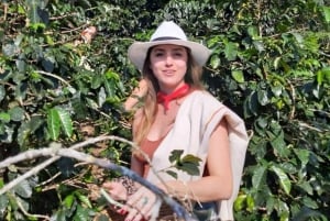 Medellin: Guatapé Day Tour with Coffee Farm Visit