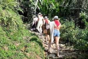 Medellin: Guatapé Day Tour with Coffee Farm Visit