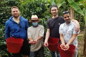 Medellin: Guatape, El Peñol Coffee Farm Private Tour & Fruit