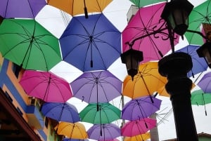 Medellin: Guatape, El Peñol kaffefarm, privat omvisning og frukt