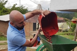 Medellin: Guatape, El Peñol kaffefarm, privat omvisning og frukt