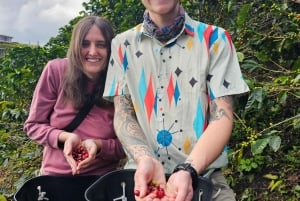 Medellin: Guatape, El Peñol kaffefarm, privat omvisning og frukt