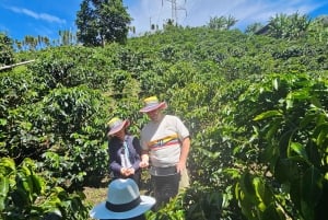 Medellin: Guatape, El Peñol kaffefarm, privat omvisning og frukt