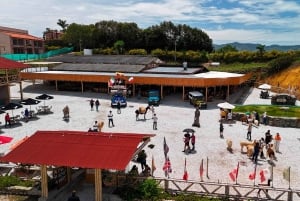 Medellín: Guatapé Private Tour with Helicopter & Boat Ride