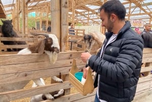 Medellín: Guatapé Private Tour with Helicopter & Boat Ride