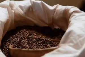 Медельин: Гуатапе и кофейный маршрут