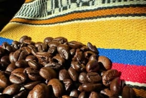 メデジン：グアタペ＆コーヒーのルートをご案内します