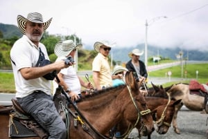 Medellin & Guatape: Three days of tour experience and magic