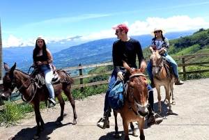 Medellín: Hacienda Adrenalina Paragliding, ATV Tour & Horses