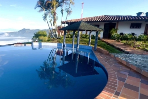 Medellín: Hacienda Adrenalina Paragliding, ATV Tour & Horses