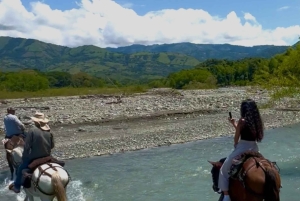 Medellín: Hacienda Adrenalina Paragliding, ATV Tour & Horses