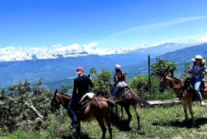 Medellín: Hacienda Adrenalina Paragliding, ATV Tour & Horses